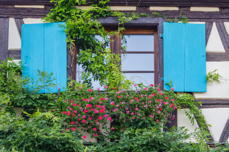 Eguisheim, France - October 24, 2021: Flowering plants growing in window box on the half-timbered house, Eguisheim village, Alsace, Franceのeditorial素材