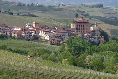 The village and castle of Barolo, Italyのeditorial素材