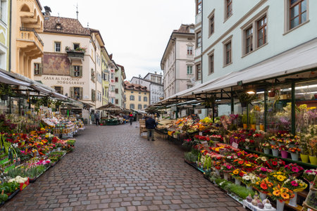 Bolzano, Italy - November 1, 2022: The famous fruit and vegetable market in the Piazza delle Erbe square, Autonomous Province of Bolzano, Trentino South Tyrol, northern Italyのeditorial素材