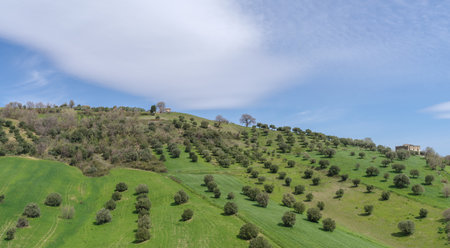Hills and countryside in Calabria region of Italy (Pollino National Park)の写真素材