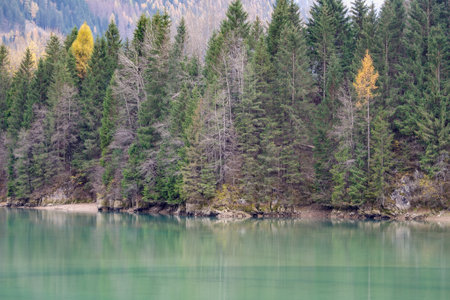 Artificial lake of Soraga, Fassa valley, Trentino Alto Adige, Italyの写真素材