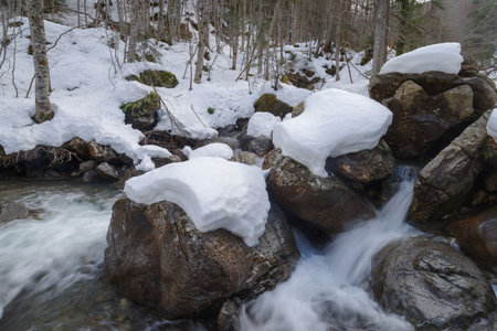 Mountain stream with ice and snow in winter, Ligurian Alps, Italyの写真素材