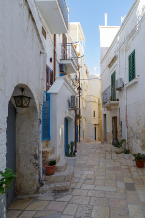 Typical alley and houses of the old town Polignano a Mare, Apulia, Southern Italyの写真素材