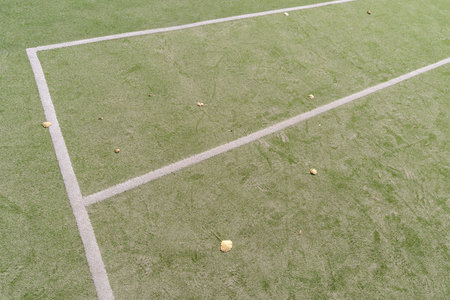 Artificial green turf with white painted lines on an open sports field