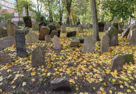 Prague, Czech Republic - 4 November 2025: Old weathered gravestones densely fill the Jewish Cemetery in Prague, Czech Republic. The cemetery is a historic site with centuries-old tombstones, the oldest preserved tombstone, the one of Avigdor Kara, dates bのeditorial素材