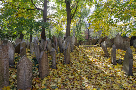 Prague, Czech Republic - 4 November 2025: Old weathered gravestones densely fill the Jewish Cemetery in Prague, Czech Republic. The cemetery is a historic site with centuries-old tombstones, the oldest preserved tombstone, the one of Avigdor Kara, dates bのeditorial素材