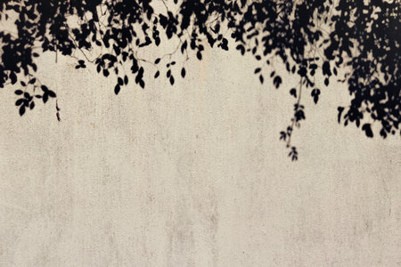 Foliage shadow on a concrete background. Summer holiday atmosphere.