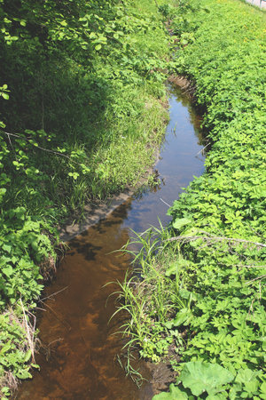 A Creek in the Woods
