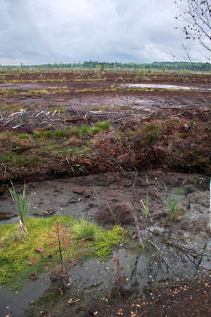 Quarry for extraction of peatの写真素材