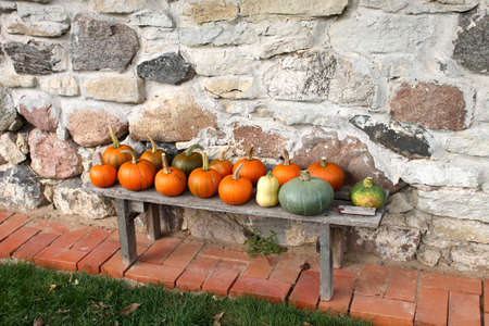 Pumpkins and squashes after harvestの写真素材