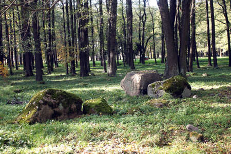 The big stones of the ice age の写真素材