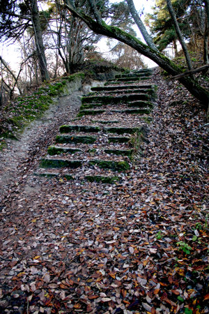 The old staircase in the Park