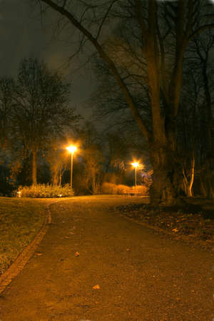 Night lighting of the Park  の写真素材