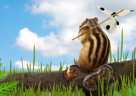 Funny chipmunk with luggage, travel conceptの写真素材