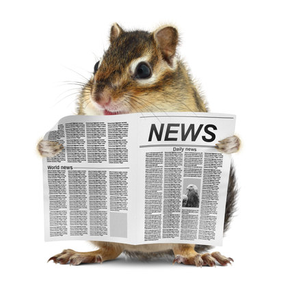 Funny chipmunk read newspaper, news conceptの写真素材