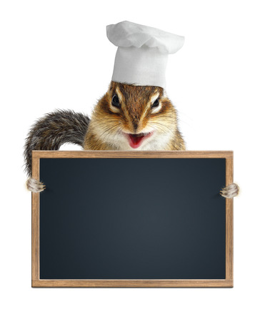 Funny chipmunk chef cook hold menu blackboardの写真素材