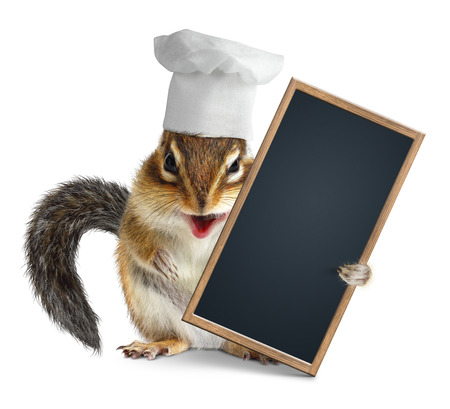 Funny chipmunk with chef cook hat hold menu blackboardの写真素材