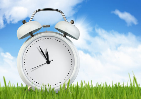 Blank alarm clock on grass with sky