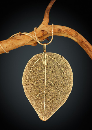 Jewelry pendant shape of leaf on twig, on darkの写真素材