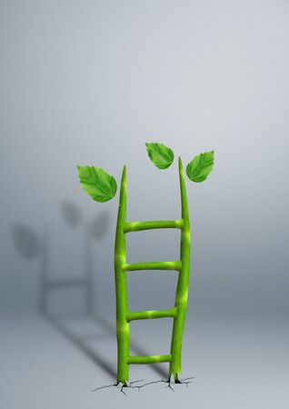 successful growth creative concept, plant as ladderの写真素材