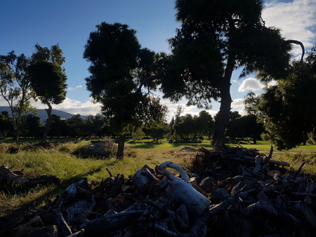 Picking woods from golf course in greeecの写真素材