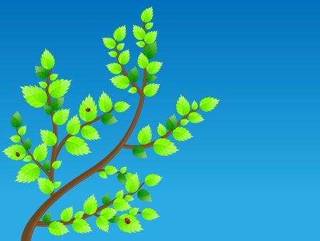 Background with green leaves and ladybirds illustration のイラスト素材