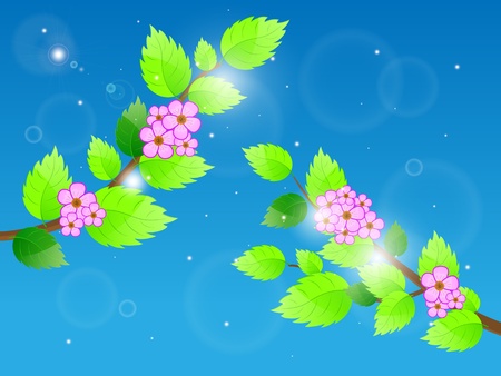 Cherry blossom against blue sky illustration のイラスト素材