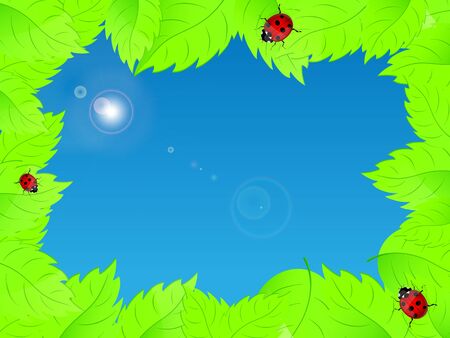Background with fresh green leaves and ladybirds のイラスト素材