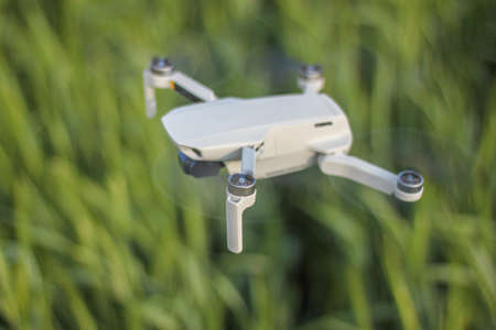 little drone lost over green grassの写真素材