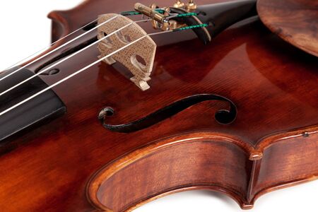 Violin isolated on white backgroundの写真素材