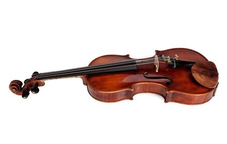 Violin isolated on white backgroundの写真素材