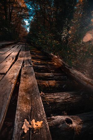 A train on a train track with trees in the backgroundの写真素材