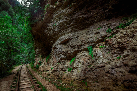 railroad in the mountains on a cloudy day