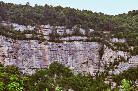 A stone with bushes and treesの写真素材