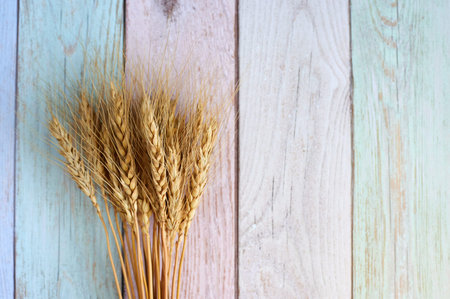 bread ear against the background of a wooden fenceの写真素材