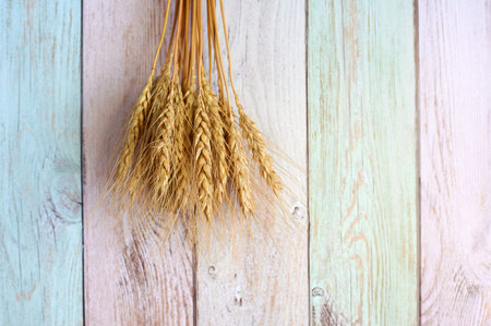 spikelets are located on a colorful background