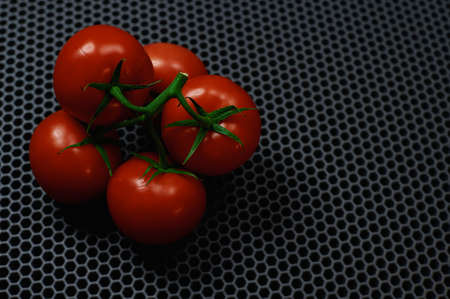 tomatoes on a branch close-up on a dark background with a place to insert. High quality photoの写真素材