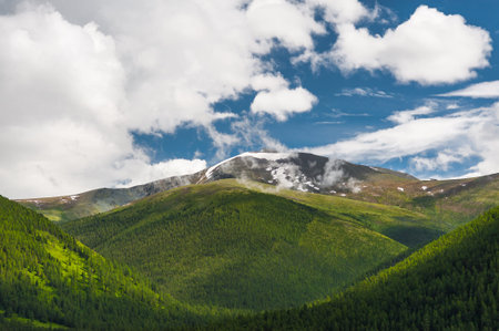 mountain forests against the snow-capped tops of the mountains and the blue sky in the clouds. High...