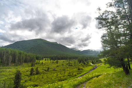 road along the path to the Altai Mountains with overcast skiesの写真素材
