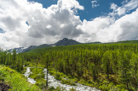 mountain river against the backdrop of mountains with clouds. Altai Mountainの写真素材