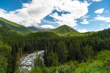 Altai Mountain. mountain river runs between mountainsの写真素材