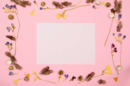 place to insert on a light pink background with Easter decor of shell feathers and dried flowers horizontallyの写真素材