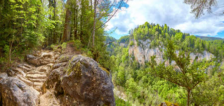 Panorama of a fabulous mountain forest with a view of the canyon and a dry waterfallの写真素材
