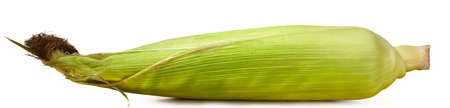 Closed cob of fresh ripe corn on a white backgroundの写真素材