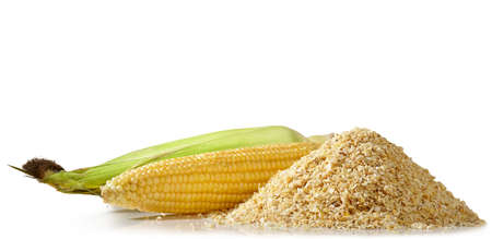Corn mash with an open ear of fresh ripe corn on a white backgroundの写真素材