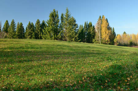 sky forest meadow hills autumn, fallの写真素材