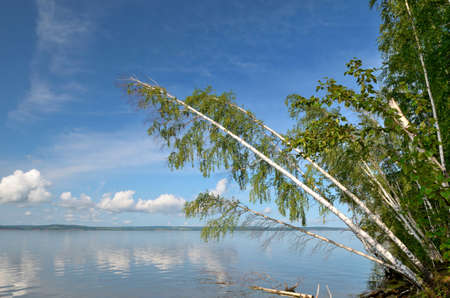 Blue sky with clouds, deciduous birch forest on the banks of the river.の写真素材
