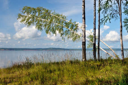 Blue sky with clouds, deciduous birch forest on the banks of the river.の写真素材