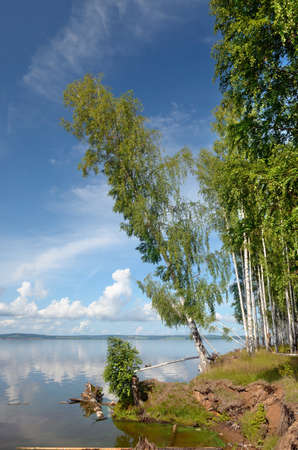 Blue sky with clouds, deciduous birch forest on the banks of the river.の写真素材