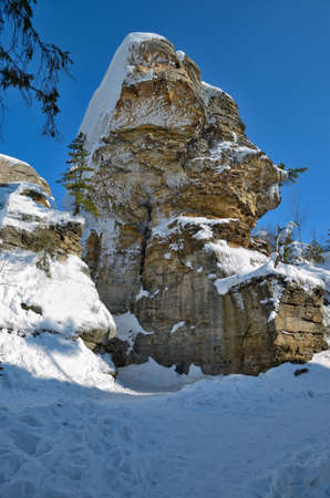 The picturesque scenery of the winter forest, rocks, cliffs, where grow the trees.の写真素材
